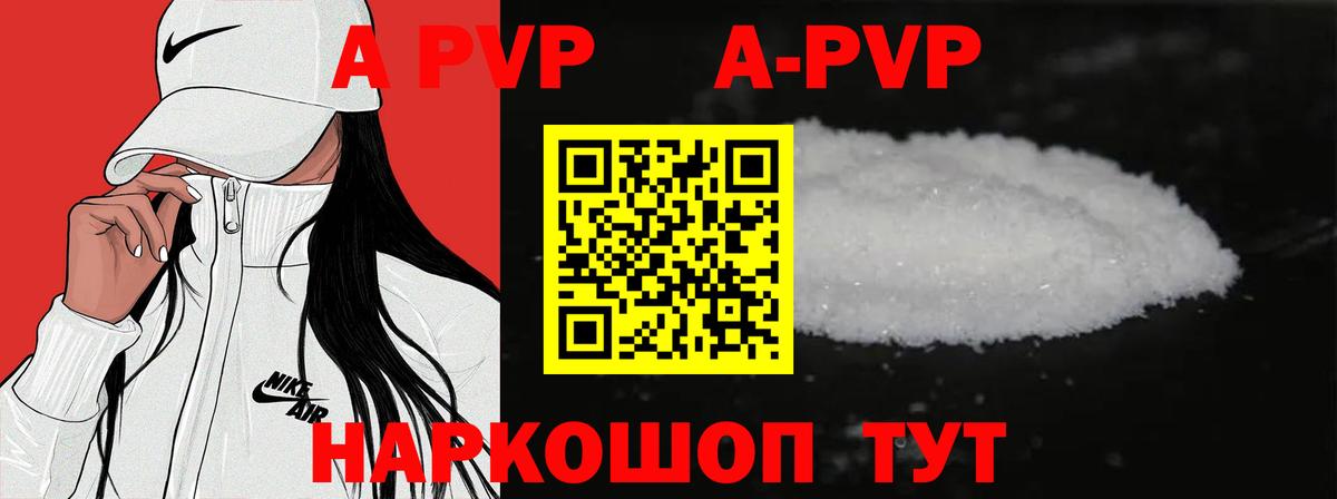 Alfa_PVP СК Ачхой-Мартан