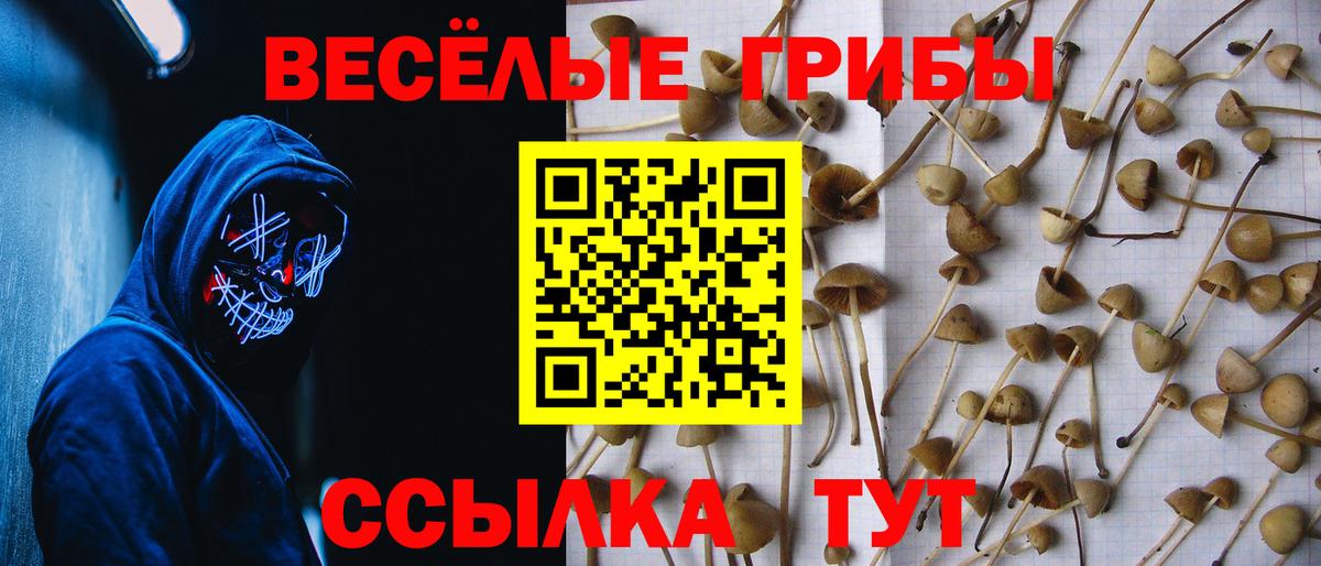 Галлюциногенные грибы MAGIC MUSHROOMS  Вход с VPN  Ачхой-Мартан 